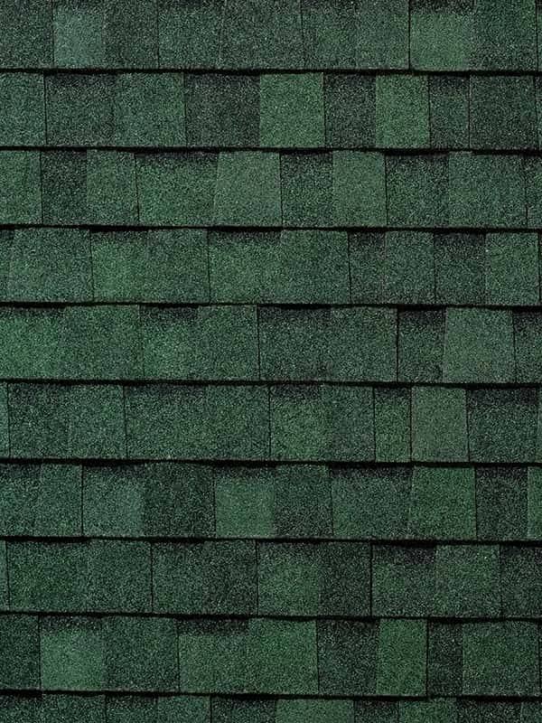 Titan XT Rustic Evergreen