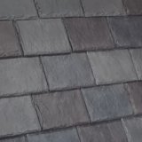 European