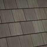 Mossy Cedar